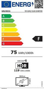 Grundig 55 GHQ 9100 4K Ultra HD 55